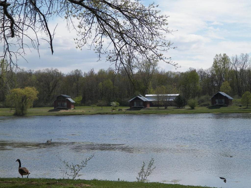 Serenity Springs - Michigan City Springfield Exterior photo